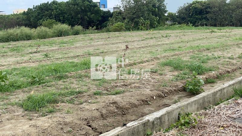 彰化鹿港鹿昇段土地房屋室內格局與周邊環境