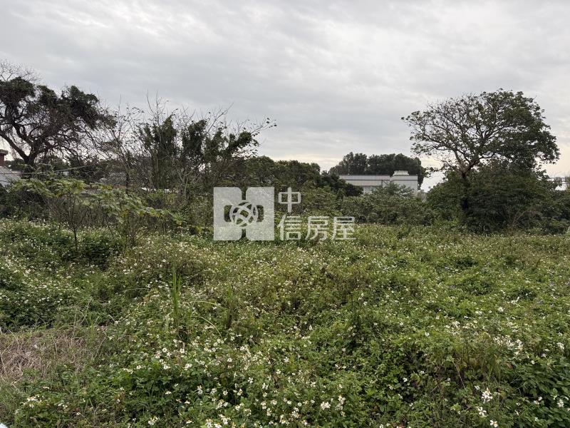 航空城旁12米路都內農房屋室內格局與周邊環境