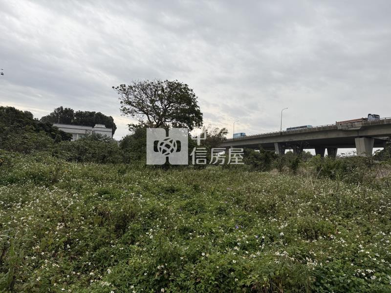 航空城旁12米路都內農房屋室內格局與周邊環境
