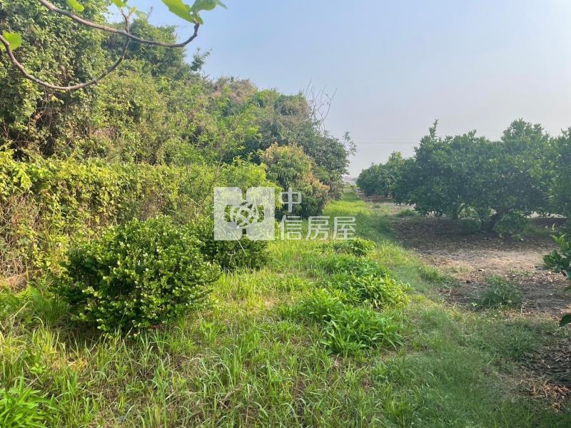 雲科大擴大都市計劃內農舍房屋室內格局與周邊環境