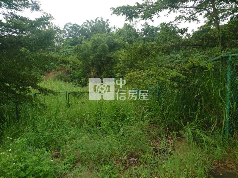 義大精選農地房屋室內格局與周邊環境