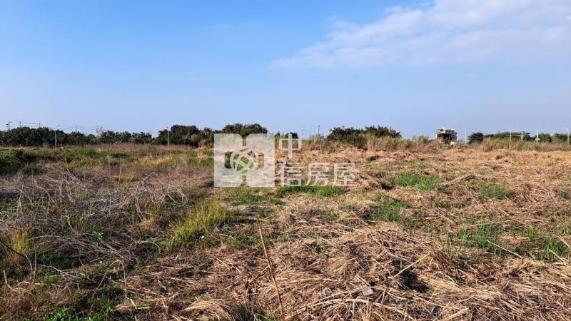 毗鄰新營轉運站黃金建地1房屋室內格局與周邊環境