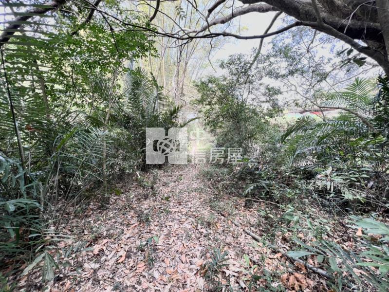 東山路旁千坪農地房屋室內格局與周邊環境