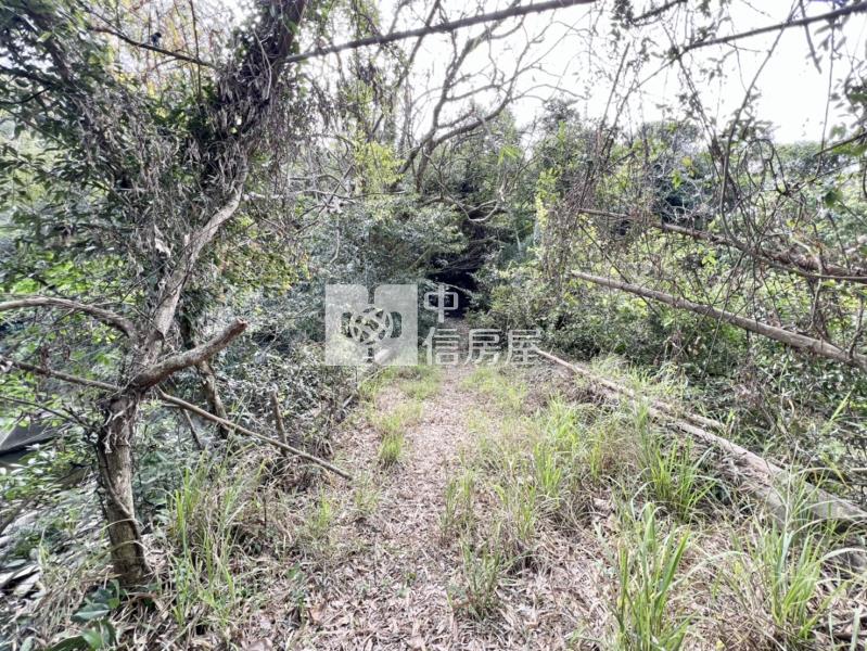 東山路旁千坪農地房屋室內格局與周邊環境