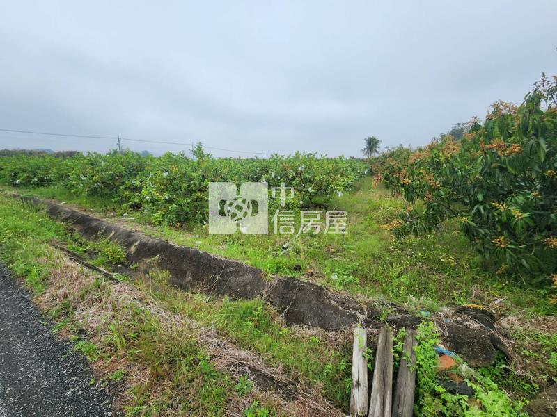 台20線望明段千坪芭樂園房屋室內格局與周邊環境