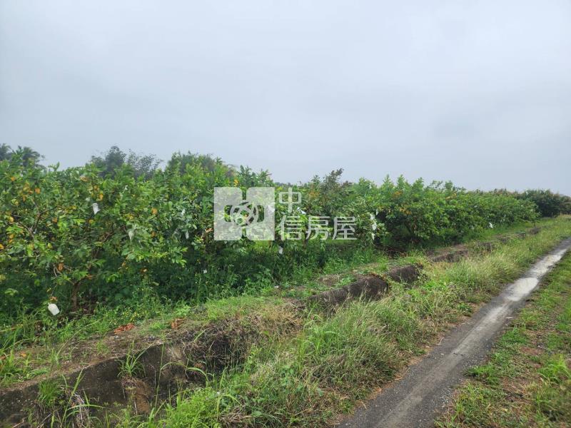 台20線望明段千坪芭樂園房屋室內格局與周邊環境