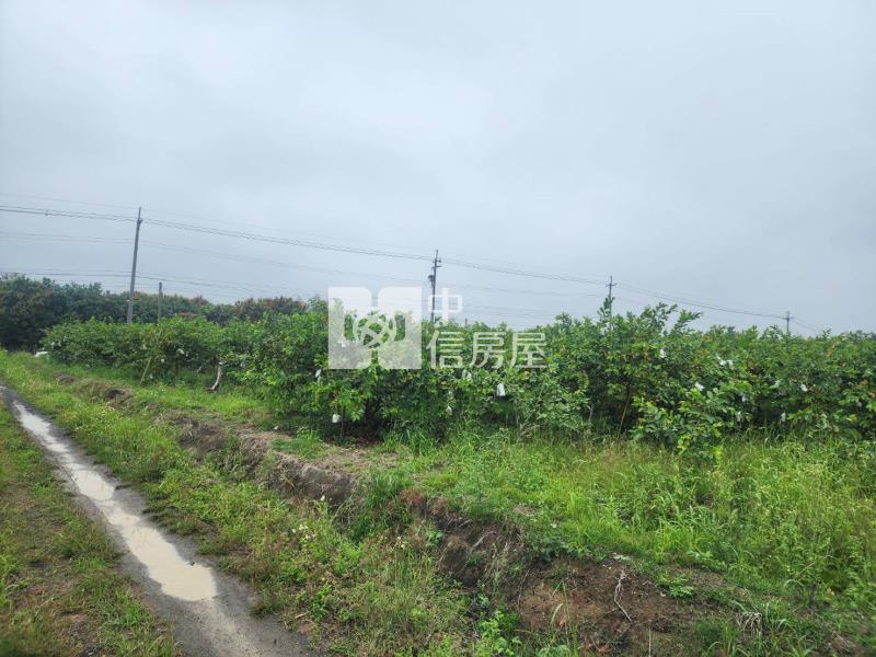 台20線望明段千坪芭樂園房屋室內格局與周邊環境