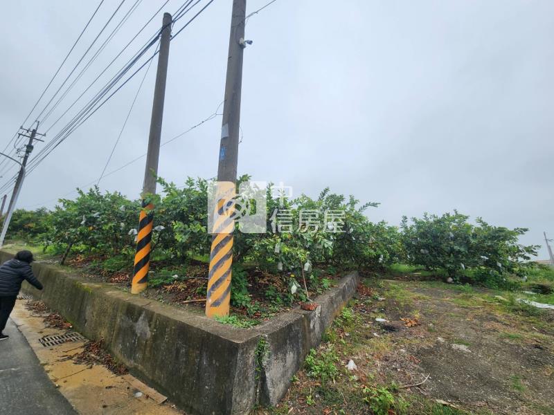 台20線望明段千坪芭樂園房屋室內格局與周邊環境