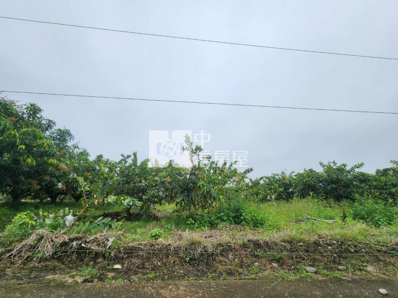 台20線望明段千坪芭樂園房屋室內格局與周邊環境