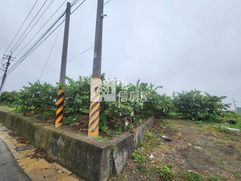 台20線望明段千坪芭樂園房屋室內格局與周邊環境