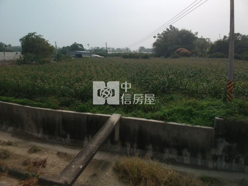 柳林好農地房屋室內格局與周邊環境