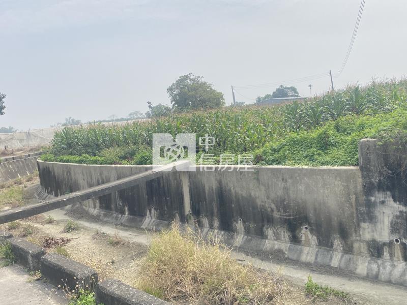 柳林好農地房屋室內格局與周邊環境