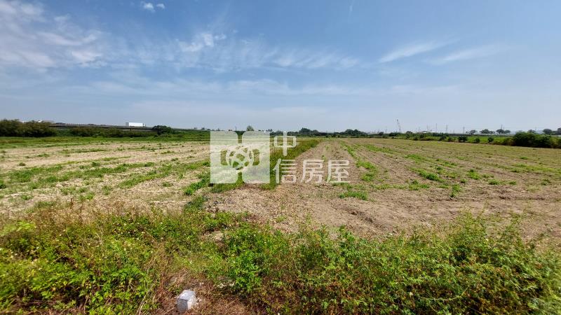 新市樹谷30米大道旁農地(1)房屋室內格局與周邊環境