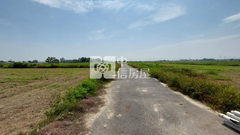 新市樹谷30米大道旁農地(1)房屋室內格局與周邊環境