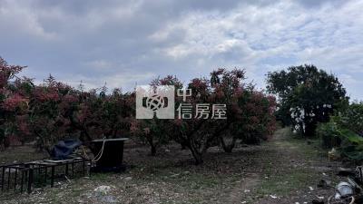 屏東土地-枋山綠境濱海農地房屋室內格局與周邊環境