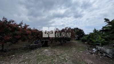 屏東土地-枋山綠境濱海農地房屋室內格局與周邊環境