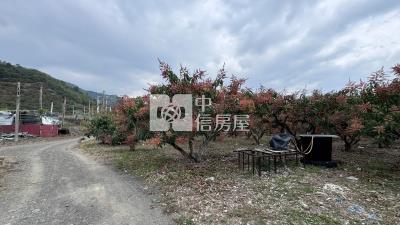 屏東土地-枋山綠境濱海農地房屋室內格局與周邊環境