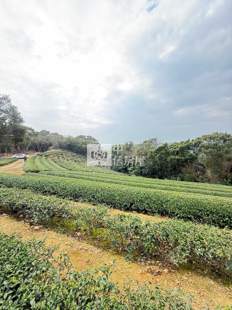 龍潭區北坑段茶園房屋室內格局與周邊環境
