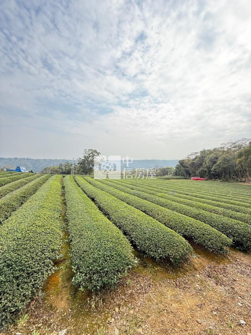 龍潭區北坑段茶園房屋室內格局與周邊環境