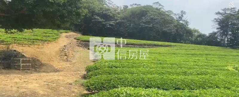 龍潭區北坑段茶園房屋室內格局與周邊環境