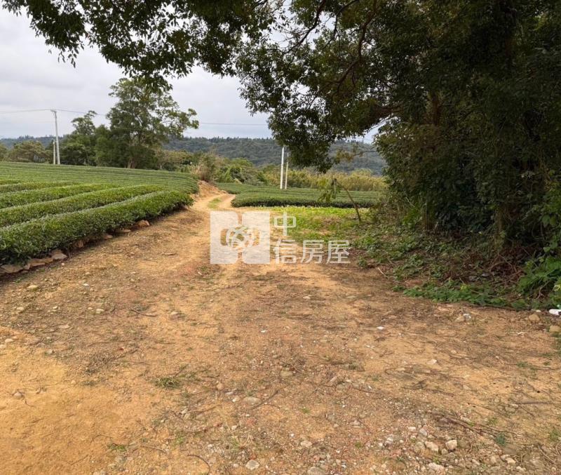 龍潭區北坑段茶園房屋室內格局與周邊環境