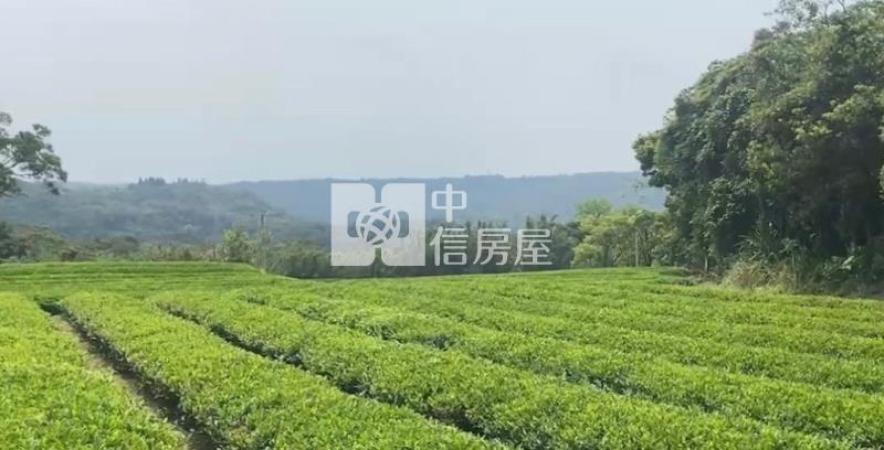 龍潭區北坑段茶園房屋室內格局與周邊環境