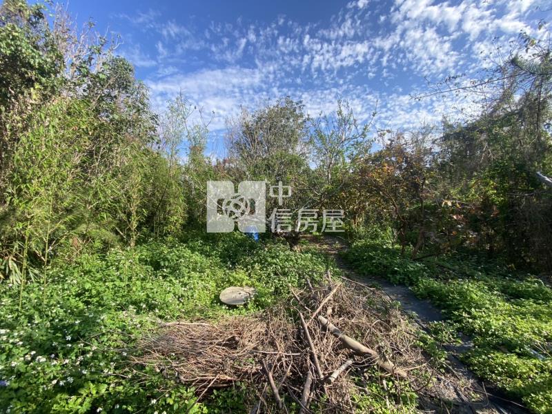 台中新社休閒渡假小農場@建地+百坪農地@送休閒渡假平房房屋室內格局與周邊環境