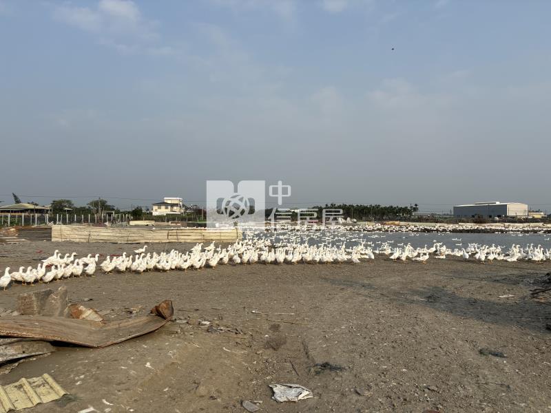 屏東土地-萬丹5.98分農地房屋室內格局與周邊環境