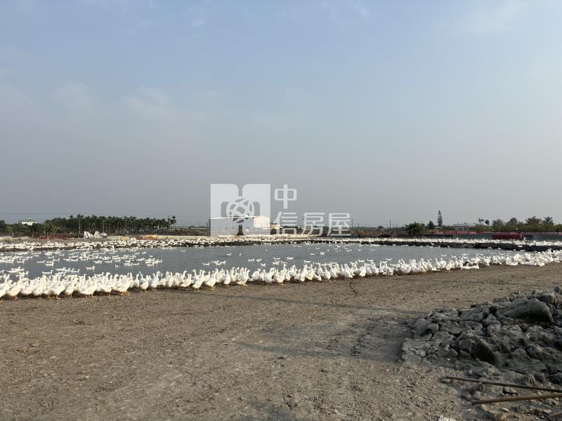 屏東土地-萬丹5.98分農地房屋室內格局與周邊環境