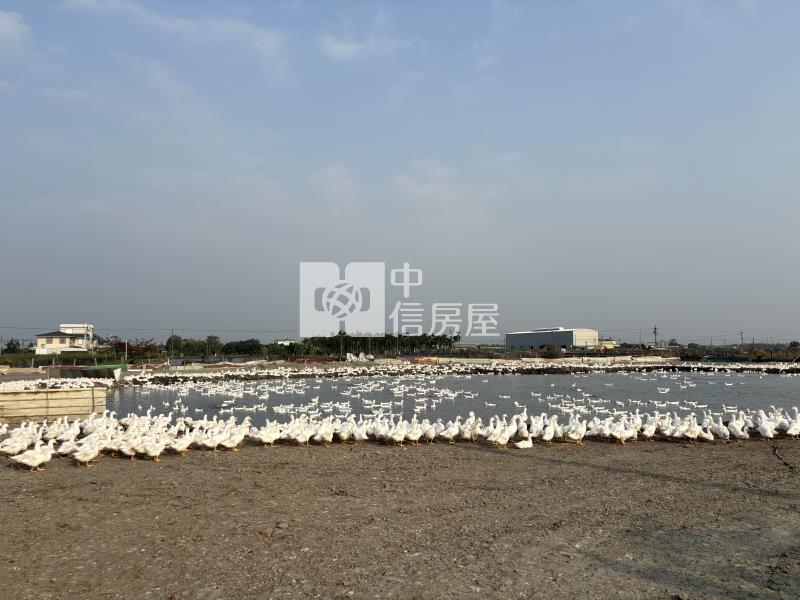屏東土地-萬丹5.98分農地房屋室內格局與周邊環境