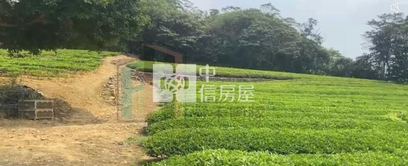 【豐禾】近龍潭三和國小千坪美茶園房屋室內格局與周邊環境
