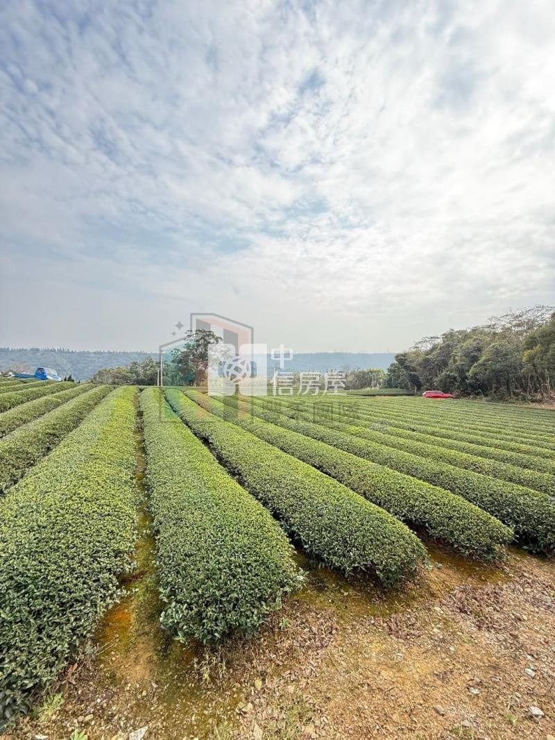 【豐禾】近龍潭三和國小千坪美茶園房屋室內格局與周邊環境