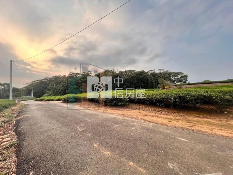 【豐禾】近龍潭三和國小千坪美茶園房屋室內格局與周邊環境