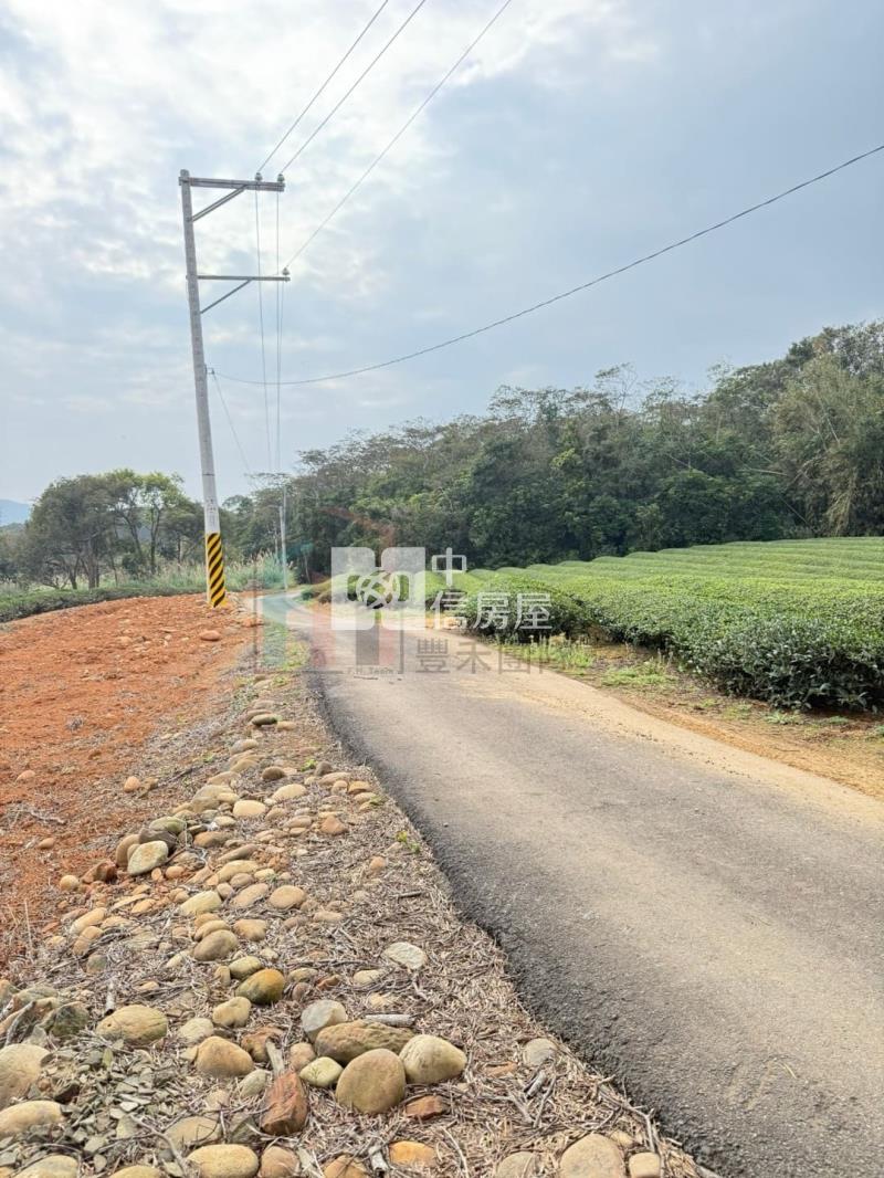【豐禾】近龍潭三和國小千坪美茶園房屋室內格局與周邊環境