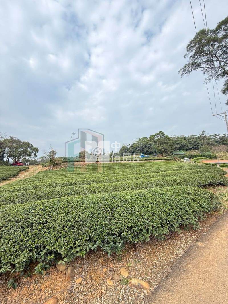 【豐禾】近龍潭三和國小千坪美茶園房屋室內格局與周邊環境