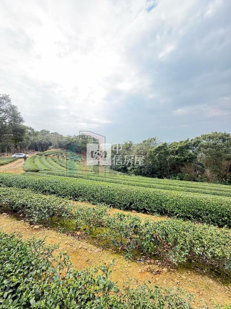 【豐禾】近龍潭三和國小千坪美茶園房屋室內格局與周邊環境