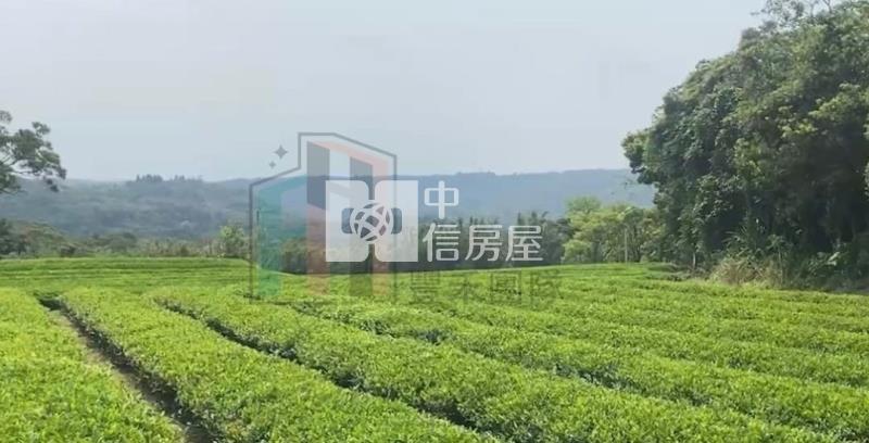 【豐禾】近龍潭三和國小千坪美茶園房屋室內格局與周邊環境