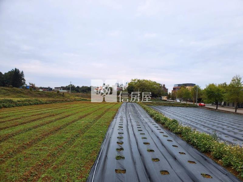 大溪區農地+建地房屋室內格局與周邊環境