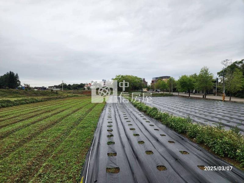 大溪區農地+建地房屋室內格局與周邊環境