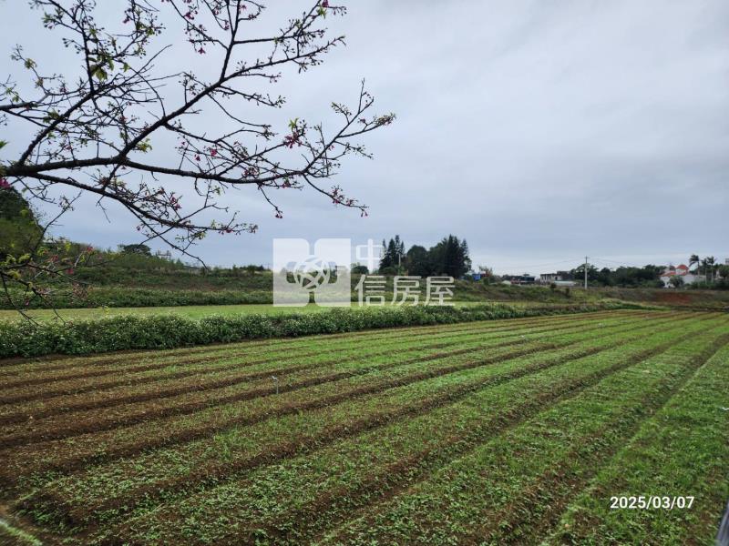 大溪區農地+建地房屋室內格局與周邊環境
