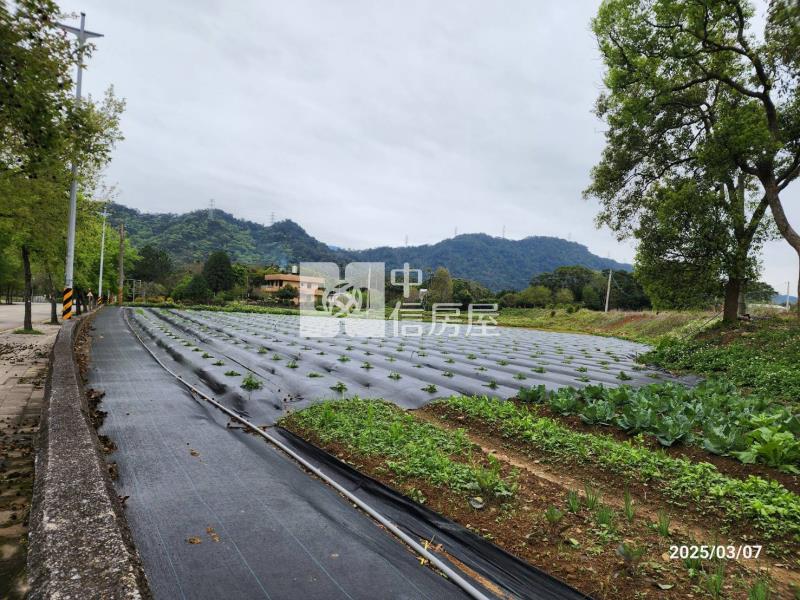 大溪區農地+建地房屋室內格局與周邊環境