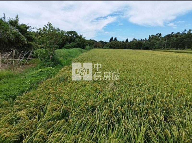 新屋一般農雙面路近台61房屋室內格局與周邊環境