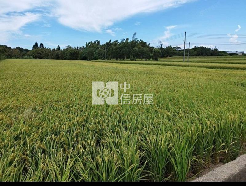 新屋一般農雙面路近台61房屋室內格局與周邊環境