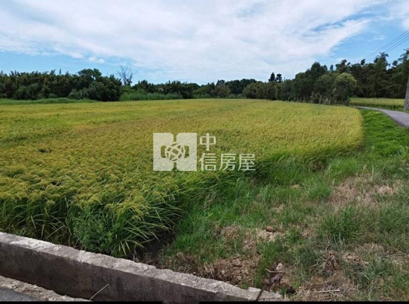 新屋一般農雙面路近台61房屋室內格局與周邊環境