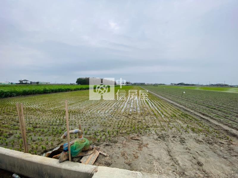 崙背阿勸農地房屋室內格局與周邊環境