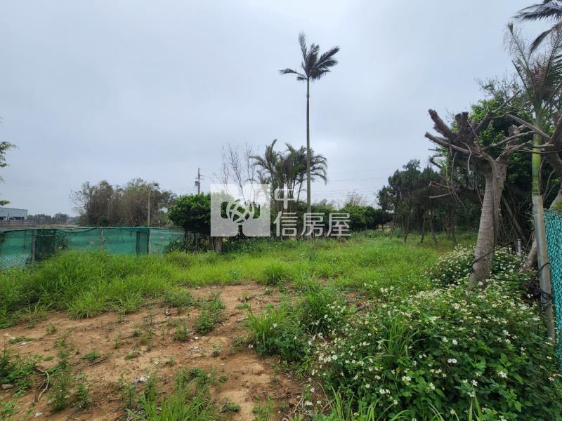 觀音金華路合法農舍房屋室內格局與周邊環境