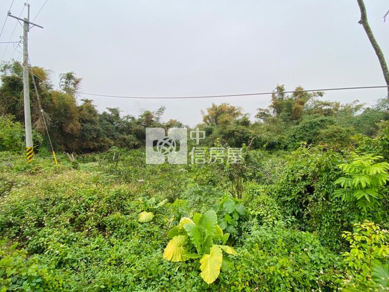 斗六溝垻農地1房屋室內格局與周邊環境