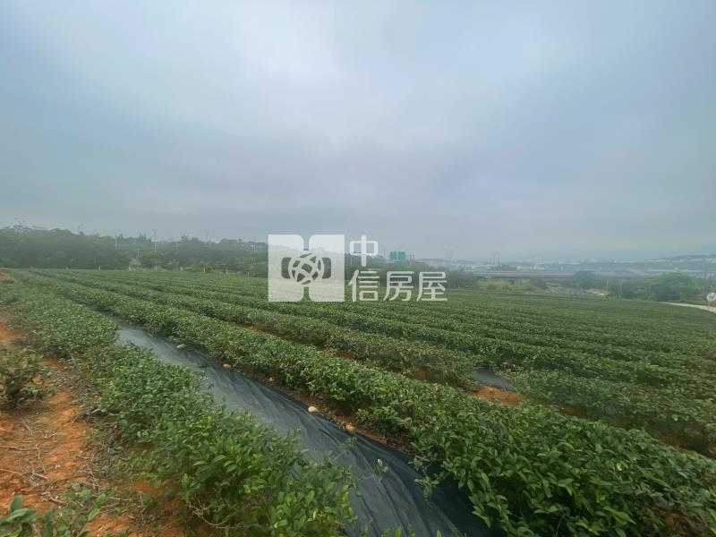 G243苗栗九湖南段3507房屋室內格局與周邊環境