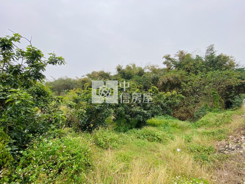 斗六溝垻農地2房屋室內格局與周邊環境
