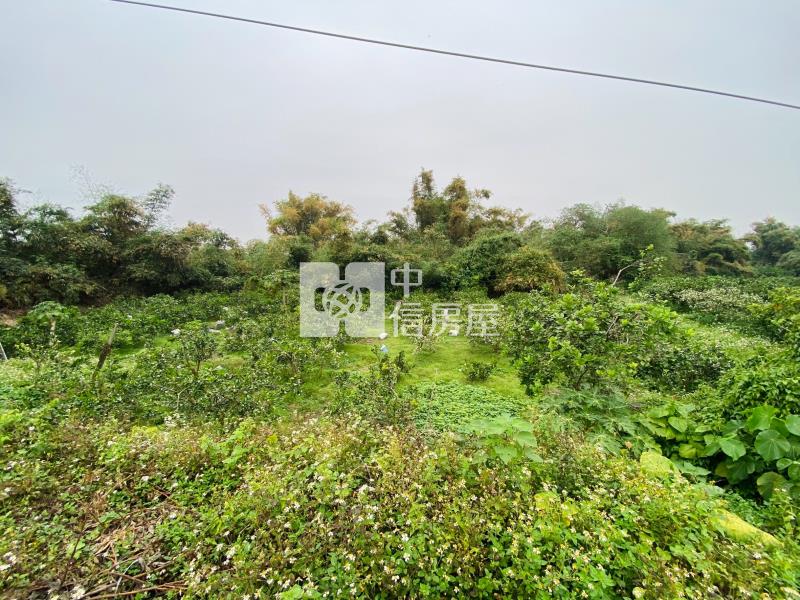 斗六溝垻農地2房屋室內格局與周邊環境